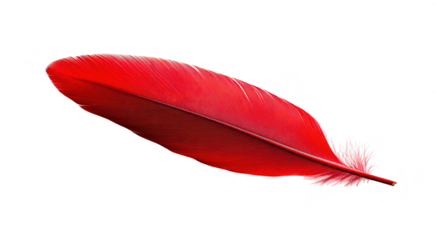 A red feather delicately resting on a clean white surface. its intricate details and smooth texture. ideal for artistic projects or nature-themed designs