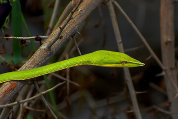 city, night, street, urban, road, architecture, building, downtown, skyline, house, travel, tourism, town, avenue, skyscraper, lights, modern, tower, landscape, metropolitan, dusk, evening, square, me