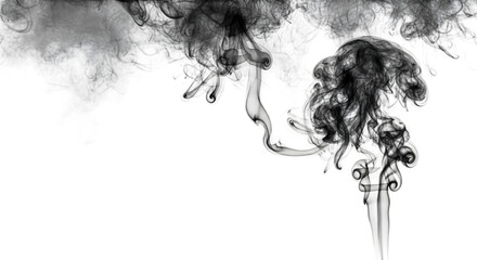 Fototapeta premium Abstract black smoke swirling on a transparent background
