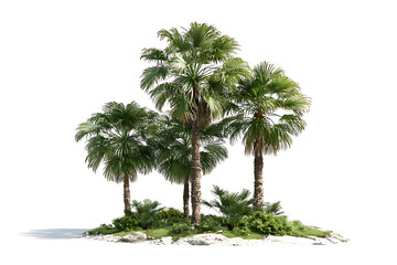Tropical palm trees on a small island with lush green foliage and bright sunlight, perfect for travel and vacation themes
