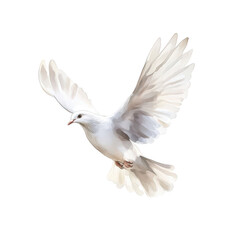 A graceful white dove soaring through the air with its wings fully extended. symbolizing peace and freedom. set against a clean white background. ideal for conveying tranquility in various contexts