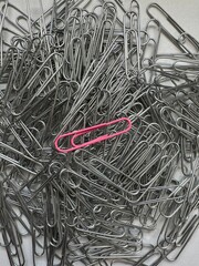 pile of metal paper clips with one pink paperclip standing out 