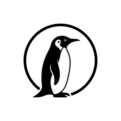 penguin on a white background