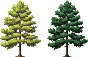 Green pine tree and forest pine illustration, evergreen nature background, conifer tree artwork, natural woodland design, outdoor seasonal landscape