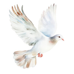 Fototapeta premium A graceful white dove in mid-flight. its elegant wings and soft feathers. symbolizing peace and freedom against a clean. minimalist background. ideal for various creative projects
