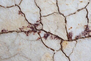 Obraz premium Close-up view of a textured surface, composed of light beige and white stone, displaying intricate cracks and scattered dark red-brown mineral deposits.