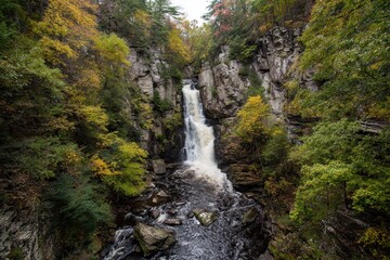 Autumn Serenity at Bushkill Falls: A Majestic Waterfall Surrounded by Vibrant Forest and Flowing Streams in Pennsylvania's Nature Landscape