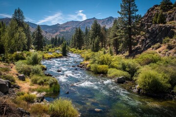 Obraz premium Alpine Adventure: Snaking East Fork Carson River, a Backcountry Gem in Eastern Sierra Nevada, California