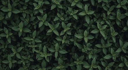 Intricate Canopy of Dark Green Leaves: An Aerial Perspective on Verdant Tranquility and Natural Depth