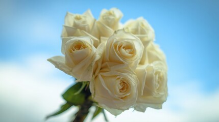 Fototapeta premium bouquet. Dreamy white rose bouquet softly focused against a blue sky, evoking serenity and natural beauty. gardening catalogs, home-decor guides, designed for home decor and floral branding.