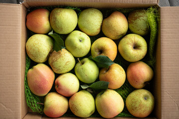 Fresh apples packed in a cardboard box on a wooden surface during autumn harvest season