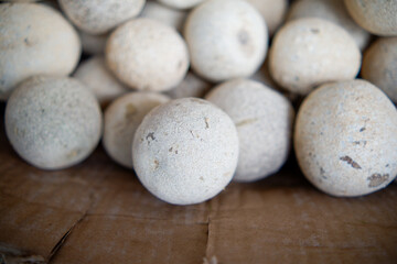 Close up of a wood apple inside the box.