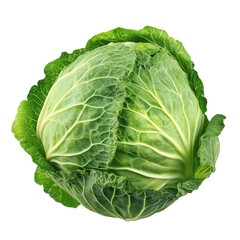Fototapeta premium Fresh. green cabbage with intricate leaf patterns. its natural beauty. isolated on a white background. ideal for culinary or health-related stock photography