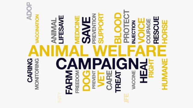 Animal welfare Campaign concept, Text Design Animation typography seamless loop video motion graphics Intro 4k, Animated Tag Word Cloud kinetic typography Word Art Looping Text effects yellow grey typ