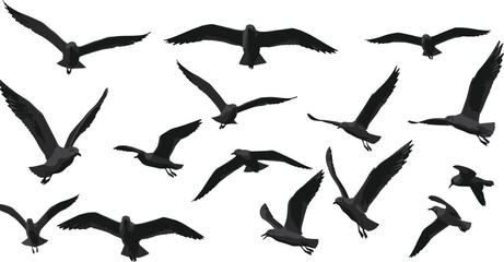 Vector illustration of flying birds in motion, black silhouettes with blue outlines, dynamic avian flight poses, artistic wildlife design, abstract nature background, decorative pattern