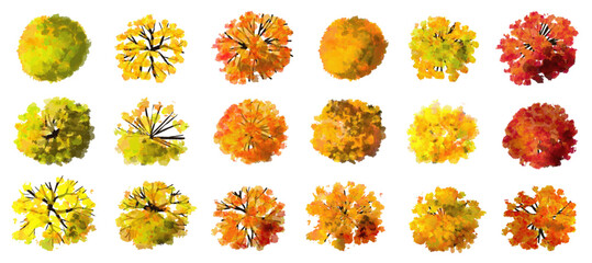 Tree or forest top view for landscape layout,watercolor plant for architecture drawing, environment and garden,botanical elements for plan,blooming tree in autumn