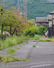 View of a residential road of a Japanese town.