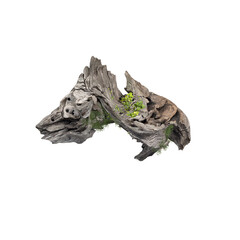 Driftwood aesthetic poster white background	
