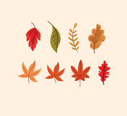 Autumn Leaf Clipart Set – Hand-Drawn Fall Foliage Vector Collection