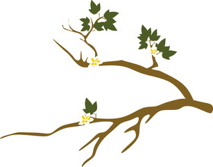 Tree Branch Illustration with Flowers