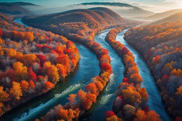 Autumn foliage along a winding river in a scenic landscape