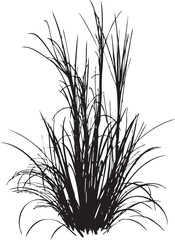 Tall grass Silhouettes isolated in a white background vector illustration