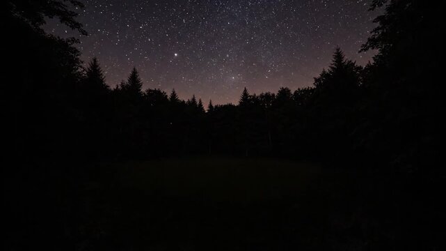 Timelapse of a forest clearing as shadows shift, golden light fades, and stars appear above the trees