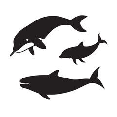 Fototapeta premium Silhouettes of three dolphins swimming in the ocean