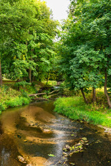 A picturesque stream in the park. Krozweki Palace Park, swietokrzyskie Province, Poland
