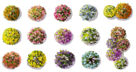 Vector watercolor of blooming tree top view isolated on white background for landscape plan and architecture drawing, elements for environment and garden,botanical elements ,blooming flower in spring