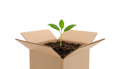 Young green plant growing in soil inside an open cardboard box symbolizing ecofriendly packaging and sustainable growth concepts