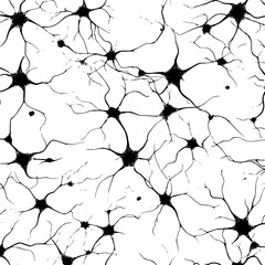 Monochrome illustration of multiple nerve cells connected in a complex network structure pattern