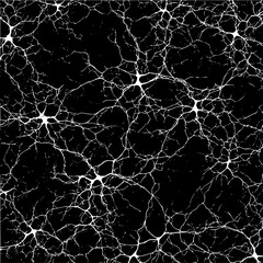Abstract network of white lines resembling neurons on a black background creating a complex pattern