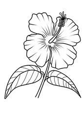 hand drawn vector illustration flower