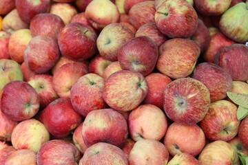 A large pile of apples is being kept for sale.