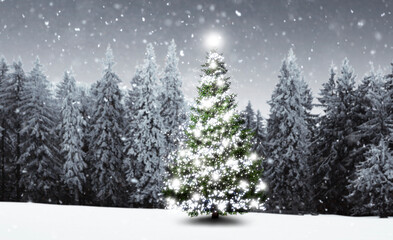 Beleuchteter geschmückter Weihnachtsbaum in einem verschneiten Winterwald
