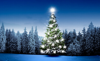 Beleuchteter geschmückter Weihnachtsbaum in einem verschneiten Winterwald