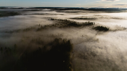 Experience the breathtaking beauty of Hossa National Park, Finland during sunrise with fog over the forest
