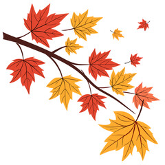 Vibrant autumn maple leaves in red and yellow colors falling from a tree branch