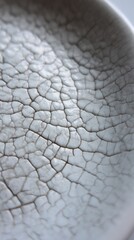 Close-up of a porcelain bowl with glossy white crackled glaze showing intricate patterns in soft natural light