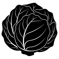 Black and white illustration of a whole cabbage vegetable