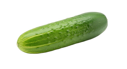 Fresh Green Cucumber on Gradient Background Still Life