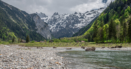 Mountain river with washed out trees and roots in it, with rocky coast and very high mountains behind the lawn, with snow on the top and green forest on bottom, cloudy sky in switzerland © Sanita