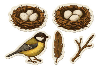 Retro titmouse bird sticker set with nests, eggs, feather, branch. Vintage collage elements with torn paper and halftone effect. Vector nature illustration for scrapbooking.