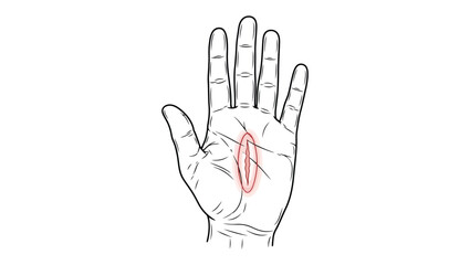 Obraz premium Chiromancy guide illustration showing the fate line on a human hand, a concept used in fortune telling to predict career and life path