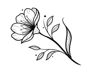 Elegant Hand-Drawn Flower Illustrations with Delicate Line Art