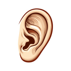 Detailed vector illustration of a human ear showing anatomical parts for medical and health concepts
