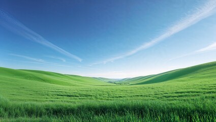 Fototapeta premium Minimalist summer landscape of a vibrant green field under a clear blue sky. A peaceful, natural background representing tranquility, nature, and open space
