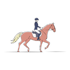 Equestrian rider on a horse, illustration