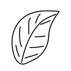 Simple and elegant leaf line art illustration. Perfect for wall art, posters, branding, packaging, digital products, and minimalist home decor.